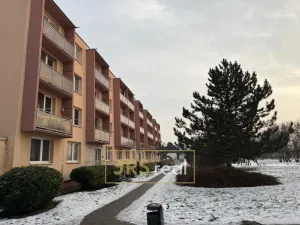 Pronájem bytu 2+1, Židlochovice, 56 m2