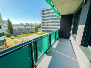 Pronájem bytu 1+kk, Praha - Žižkov, Olgy Havlové, 32 m2