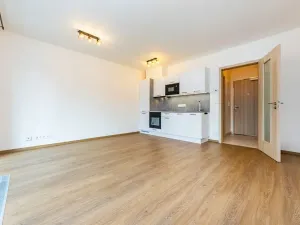 Pronájem bytu 1+kk, Praha - Záběhlice, Klapálkova, 31 m2