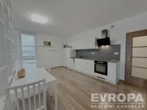 Pronájem bytu 2+kk, Plzeň - Bolevec, U Velkého rybníka, 44 m2