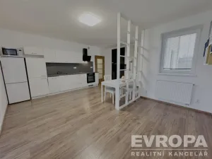 Pronájem bytu 2+kk, Plzeň - Bolevec, U Velkého rybníka, 44 m2