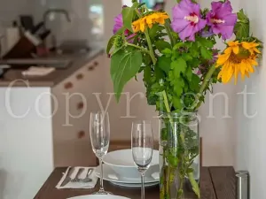 Prodej bytu 1+kk, Líšnice, Spálený Mlýn, 25 m2