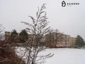 Prodej bytu 2+1, Rajhrad, Dobrovského, 60 m2