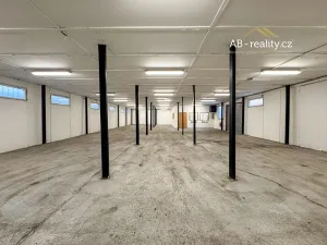 Pronájem skladu, Novosedlice, Vrchoslavská, 274 m2