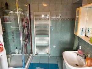 Prodej rodinného domu, Krupka, Alešova, 226 m2