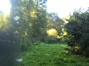 Prodej pozemku, Malá Morávka, 2597 m2