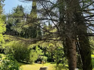 Prodej vily, Chiusi della Verna, Itálie, 420 m2