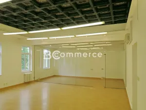 Pronájem kanceláře, Brno, 156 m2