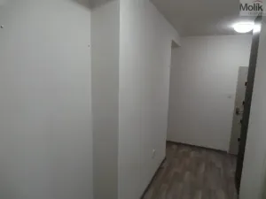 Pronájem bytu 2+1, Most, Petra Jilemnického, 56 m2