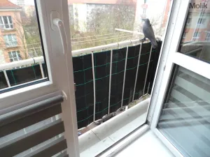 Pronájem bytu 2+1, Most, Petra Jilemnického, 56 m2