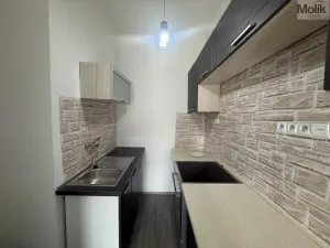 Pronájem bytu 2+kk, Litvínov - Horní Litvínov, Koldům, 49 m2