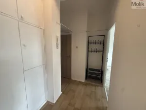 Pronájem bytu 2+kk, Litvínov - Horní Litvínov, Koldům, 49 m2