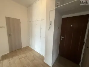 Pronájem bytu 2+kk, Litvínov - Horní Litvínov, Koldům, 49 m2