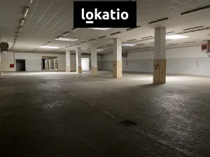 Pronájem skladu, Chomutov, 1864 m2