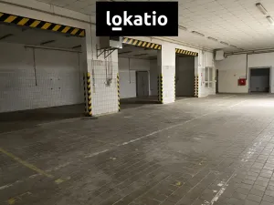 Pronájem skladu, Chomutov, 1864 m2