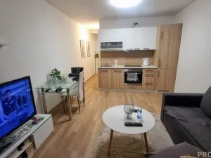 Pronájem bytu 1+kk, Moravský Krumlov, Sídliště, 30 m2
