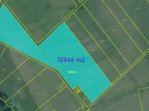 Prodej pole, Chlum u Třeboně, 12846 m2