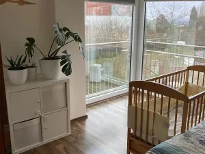 Pronájem bytu 2+kk, Liberec, Horská, 55 m2