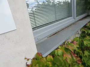 Dražba výrobních prostor, Hranice, Družstevní, 11567 m2