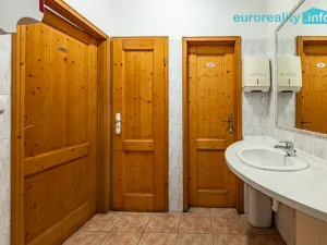 Prodej rodinného domu, Velká Hleďsebe, Havlíčkova, 229 m2