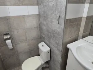 Pronájem bytu 1+1, Most, Višňová, 34 m2