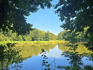 Prodej pozemku pro bydlení, Hamr na Jezeře, 2786 m2