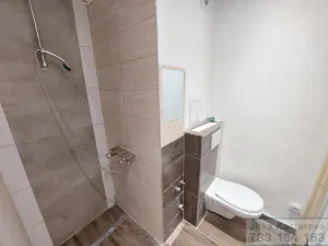 Pronájem bytu 1+kk, Opava - Kateřinky, Holasická, 25 m2