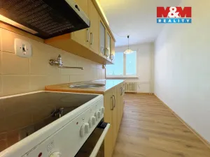 Prodej bytu 2+1, Litoměřice - Předměstí, Družstevní, 53 m2