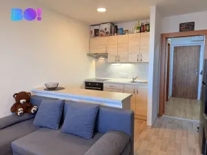 Prodej bytu 1+kk, Ostrava - Zábřeh, Čujkovova, 31 m2