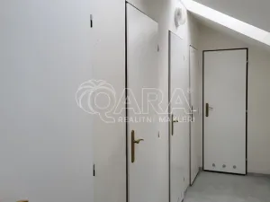 Pronájem bytu 2+kk, Milovice - Mladá, Kaštanová, 74 m2