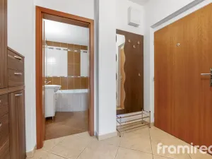 Pronájem bytu 1+kk, Brno, Čeňka Růžičky, 42 m2