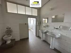 Pronájem výrobních prostor, Plzeň - Skvrňany, 1009 m2