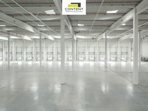 Pronájem výrobních prostor, Ostrava - Vítkovice, 16000 m2