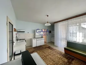 Prodej rodinného domu, Veselí nad Moravou, Břestek, 230 m2