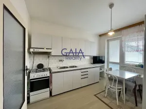 Prodej rodinného domu, Veselí nad Moravou, Břestek, 230 m2