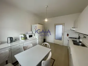 Prodej rodinného domu, Veselí nad Moravou, Břestek, 230 m2