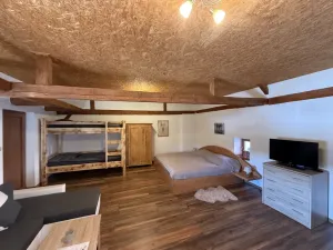 Prodej rodinného domu, Frymburk, 1140 m2