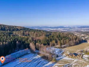 Prodej pozemku pro bydlení, Česká Čermná, 4310 m2