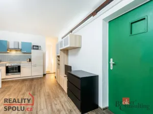 Prodej bytu 1+kk, Praha - Nusle, Pod Děkankou, 35 m2