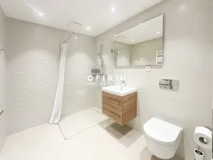 Pronájem bytu 1+kk, Brno, Cejl, 38 m2