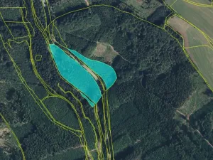 Prodej lesa, Bradlecká Lhota, 36126 m2