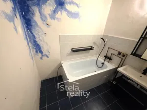 Prodej bytu 2+kk, Bruntál, K. H. Máchy, 63 m2