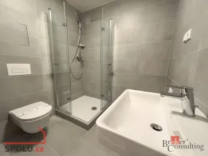 Prodej bytu 1+kk, Praha - Vysočany, Fafkových, 31 m2