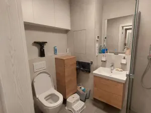 Pronájem bytu 2+kk, Brno, Kociánka, 57 m2