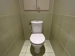 Pronájem bytu 3+1, Frýdek-Místek - Frýdek, Revoluční, 87 m2