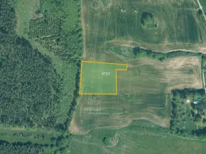 Prodej louky, Cerhonice, 41957 m2