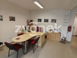 Pronájem komerční nemovitosti, Bystřice pod Hostýnem, 45 m2