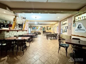 Pronájem restaurace, Sokolov, Gagarinova, 166 m2