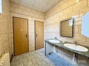 Pronájem restaurace, Sokolov, Gagarinova, 166 m2