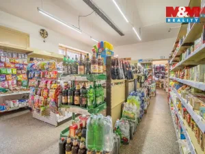 Prodej rodinného domu, Sedlec-Prčice, Vítkovo nám., 200 m2